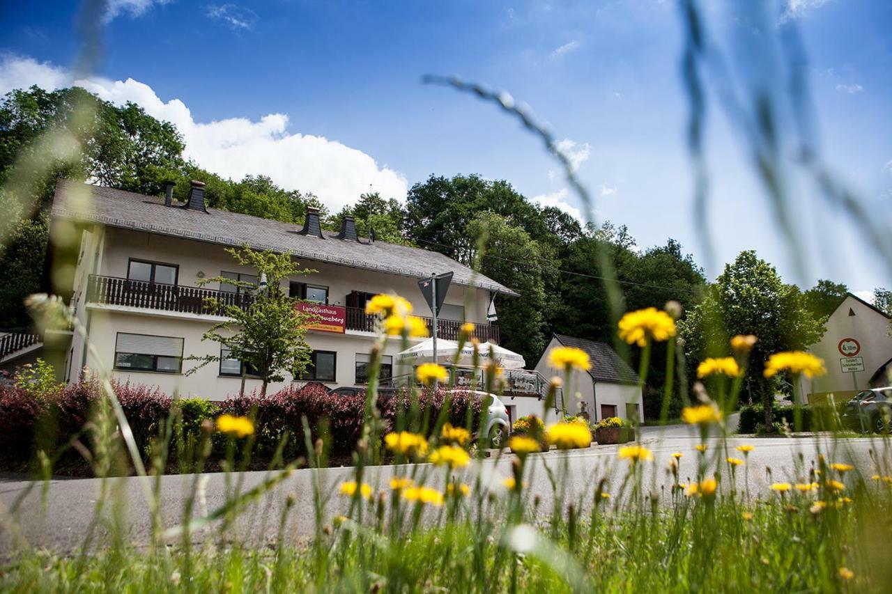 Landgasthaus Zum Kreuzberg Schonbach  エクステリア 写真
